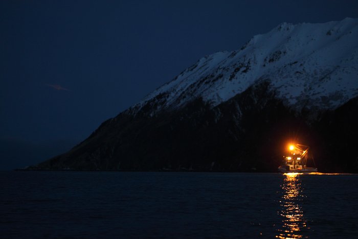 The Laura S. steams away after dropping us in Dogfish Bay, headed out for cod.