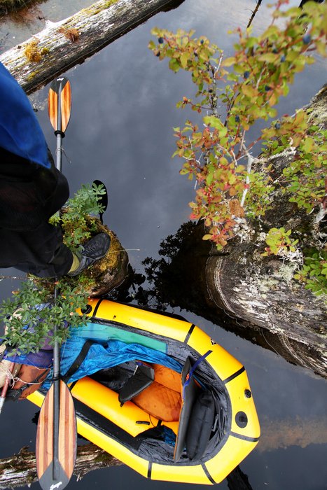 Packrafting amongst drowned trees, it was nice to step out for a minute to stretch my legs.