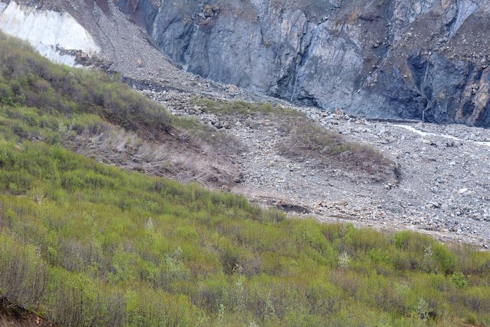 The dead alders in this image were killed by an approximately 180 m (585 ft) tsunami that ran up into this gorge.