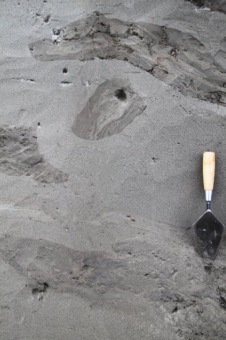 Isolated chunks of sediment floated in a soup of sand, silt, and water presumably liquefied by shaking.