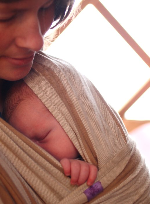 Lituya spends much of her sleep time in the wrap.