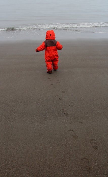 Not quite coordinated enough for tidepooling on slippery rocks, 15-month old Lituya runs for the ocean instead.