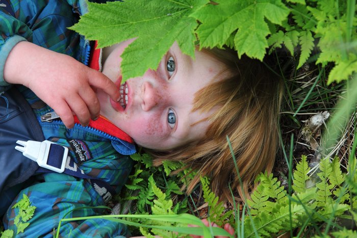 Hide and seek along the trail can be great fun, and keep the kids leapfrogging along.
