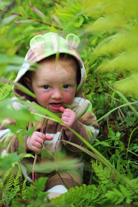 Testing out the palatability of local vegetation