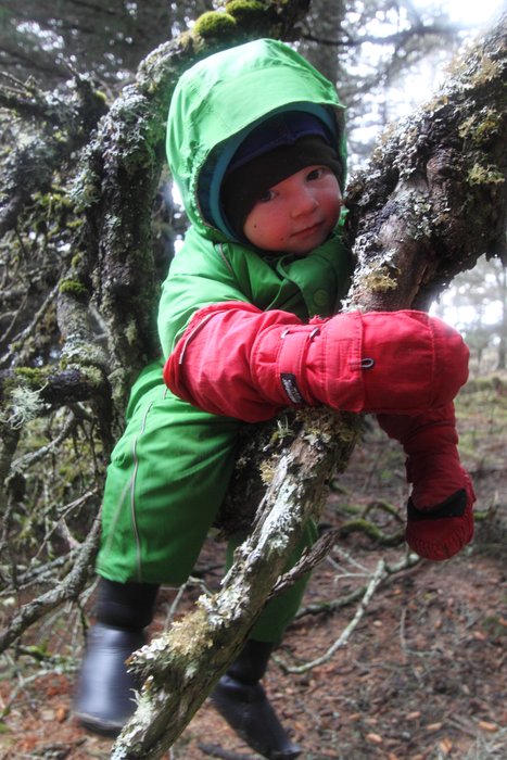Lituya riding a "wood Apatosaurus"
