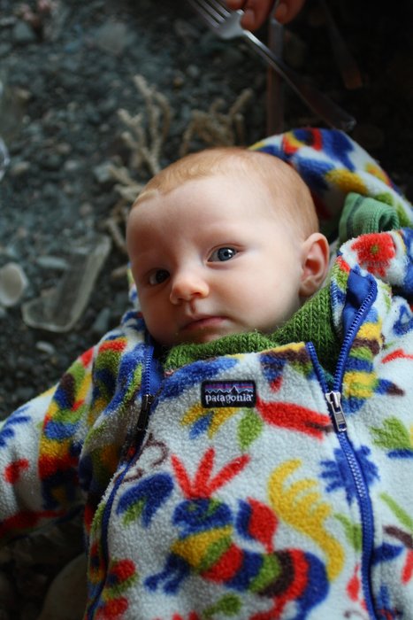On the Tidepool Table