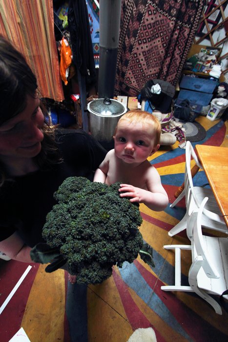 She made her best attempt to eat it, but it's hard with no teeth