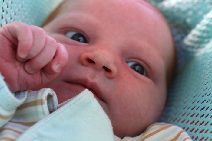 Lituya, two weeks old