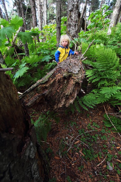 This log occupied the toddler for most of an hour