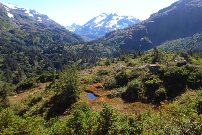 About halfway along the new trail, Lunch Mountain provides views of where you've come from, and also looking back into the mountains.