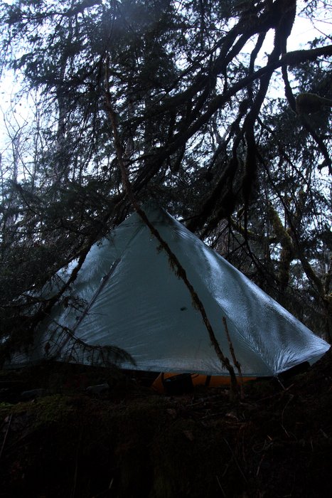 Photos taken in November 2007 of the area near Malaspina Glacier.