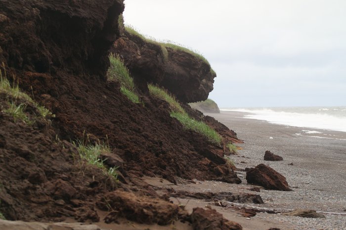 Dark brown peat that has stored carbon for millenia erodes into the Chuckchi Sea.