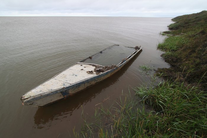 These photos depict signs of permafrost melting and coastal erosion.