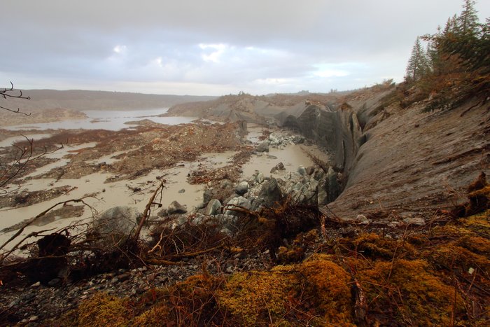 This lagoon is a pivotal spot for erosion at Malaspina Glacier, where the interaction between ocean and ice leads to rapid melting and  <a href="http://www.groundtruthtrekking.org/Essays/Global-warming-coastal-erosion-malaspina-glacier.html">rapid erosion</a>
