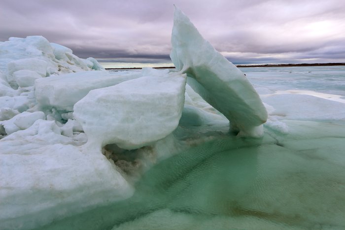 Far out on the sea ice, jumbled ice melts in the warm wind.