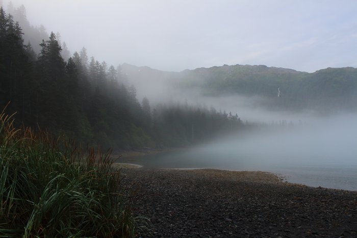 Drifting mist on the bay near our camp.