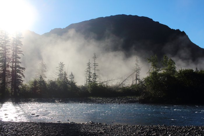 The rising sun tops mists rising from a huge blowdown near the Taylor River.