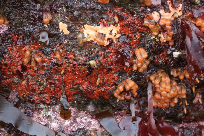 At Rhino point, summer 2016