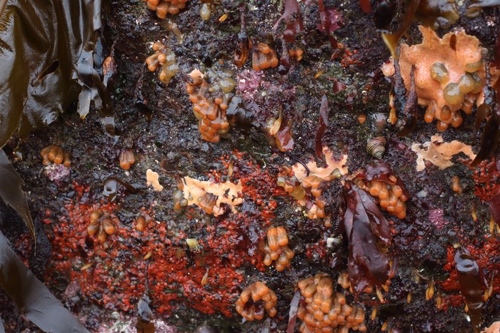 At Rhino point, summer 2016