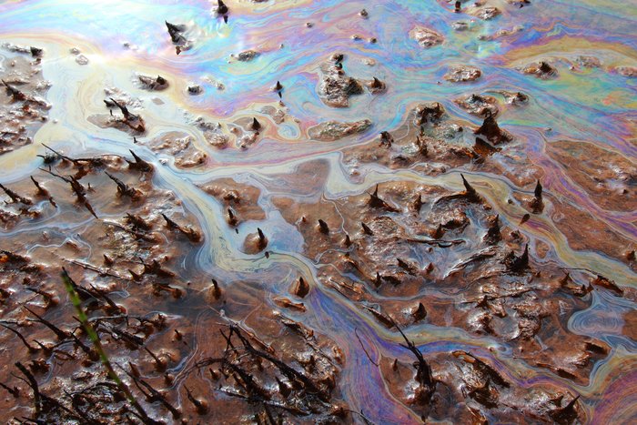 We didn't see any Moose tracks in the Samovar Hills, but there was Mousse - a brown mix of oil and water.