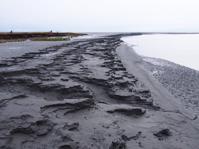 Mud banks of Susitna