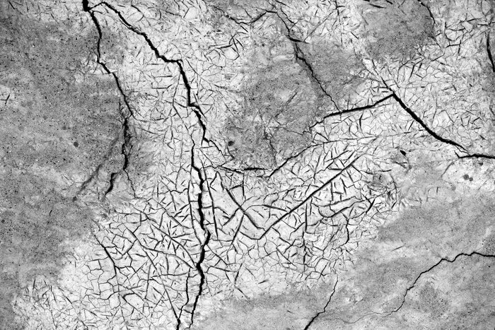 Sedimentologist quiz:  What specific process forms this pattern of mud-cracks?