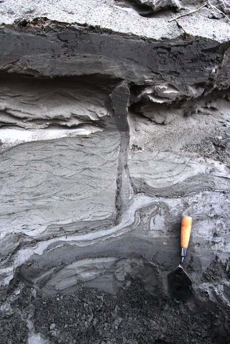 A dike of mud protrudes up through sandy ripple deposits.