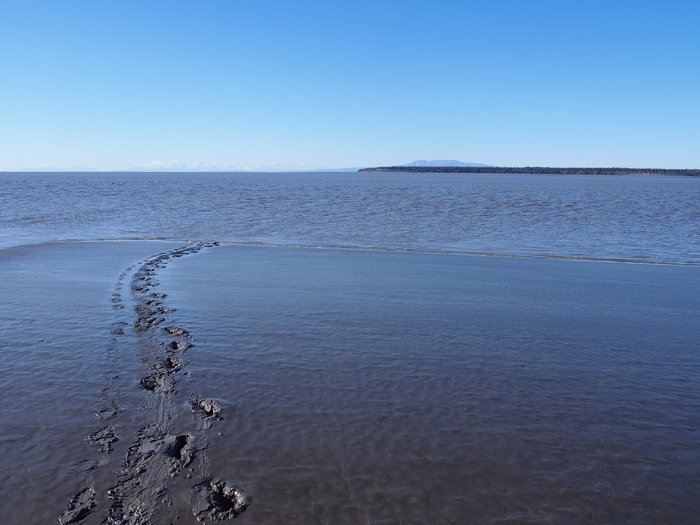 Mud tracks and Knik Arm crossing