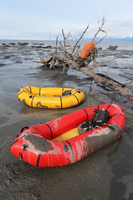 In Chikaloon Bay there was no beach, just mud flats extending up into marsh.  We landed here, on mud-coated ice.
