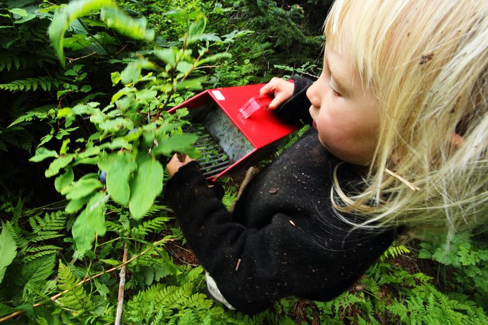 Katmai tries his hand at using the picker