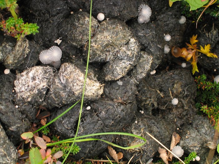 Photos from a trek in 2003 that I took with my sister Valisa.