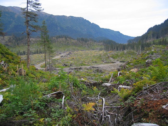 Photos from a trek in 2003 that I took with my sister Valisa.