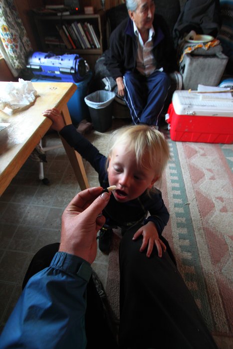 Eating muktuk (whale blubber) with an elder in Point Hope