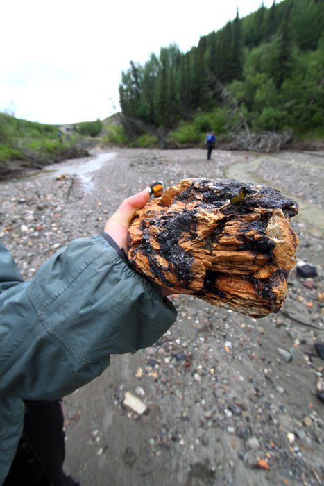 This rock is partially melted and stained red and black, probably by a <a href="/Issues/AlaskaCoal/CoalFires.html">natural coal fire</a> in a seam near it.
