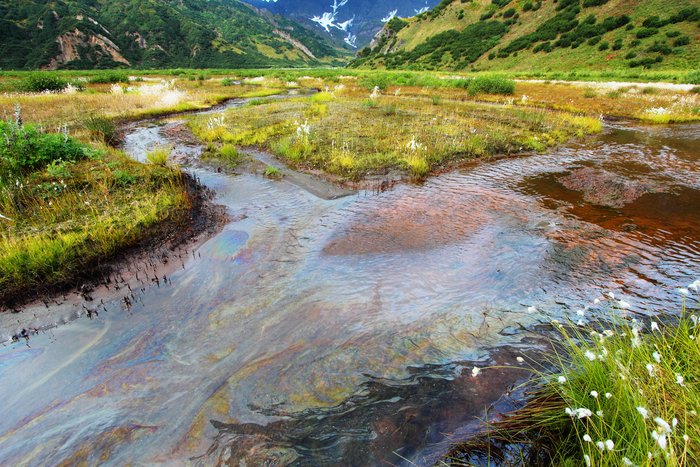 Oil seeps from the ground in the Samovar Hills and is carried away by a small stream.