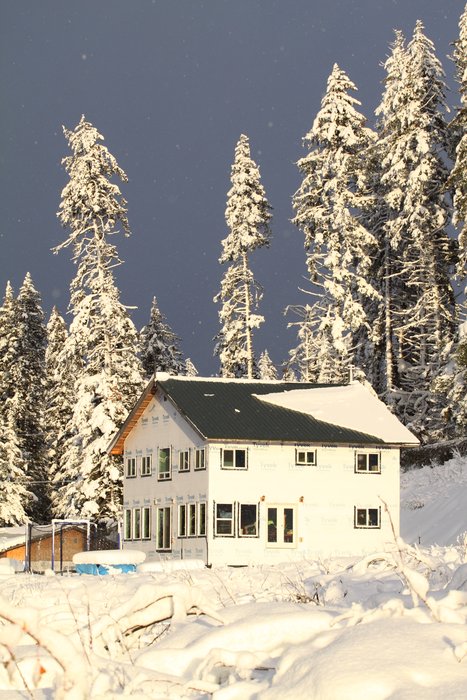In the summer we can barely see our neighbors because of the tall alder.  Now that the snow has laid down the alder they seem much closer.