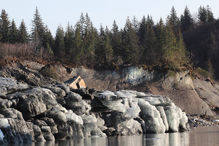 The textured iceberg appeared overnight in Sitkagi Lagoon, against the greyer ice face of the lagoon edge.