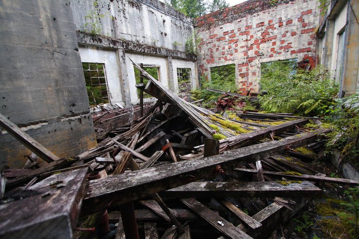 The roof of this old mine building collapsed, and the forest is moving in.