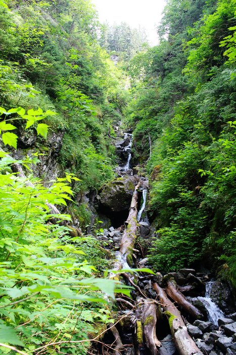 Scouting for a trail often involves exploring places to eliminate as options for a trail route. Though there's good terrain on both sides, this gully prevents travel back and forth across the slope it cuts.