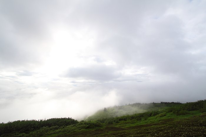 We spent about an hour wandering along the flanks of Graduation Peak in the fog.  When we'd just about figured it all out, the fog cleared...