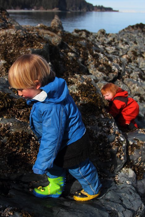 Lituya tries to catch up to Katmai on the slippery boulders