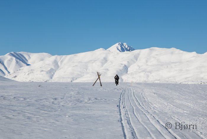 Kim rides toward the Alaska Range.