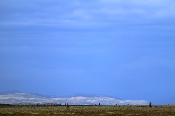 Vast plains of tundra with scattered trees and bushes dominate the area surrounding the Pebble Prospect.