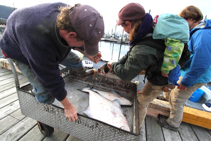 Getting the big fish out of the boat wasn't easy