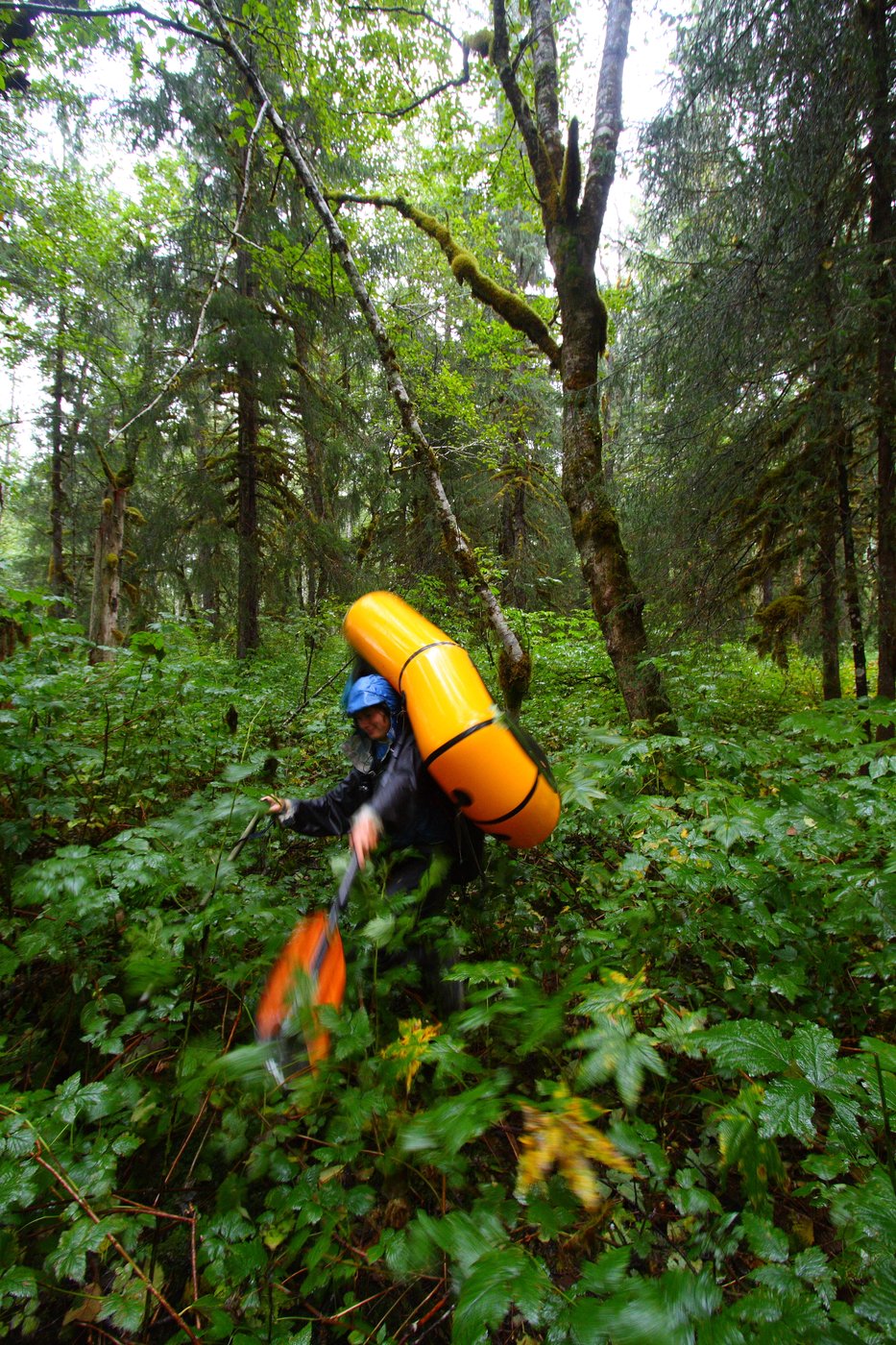 FAQ-Journey on the Wild Coast | Ground Truth Alaska