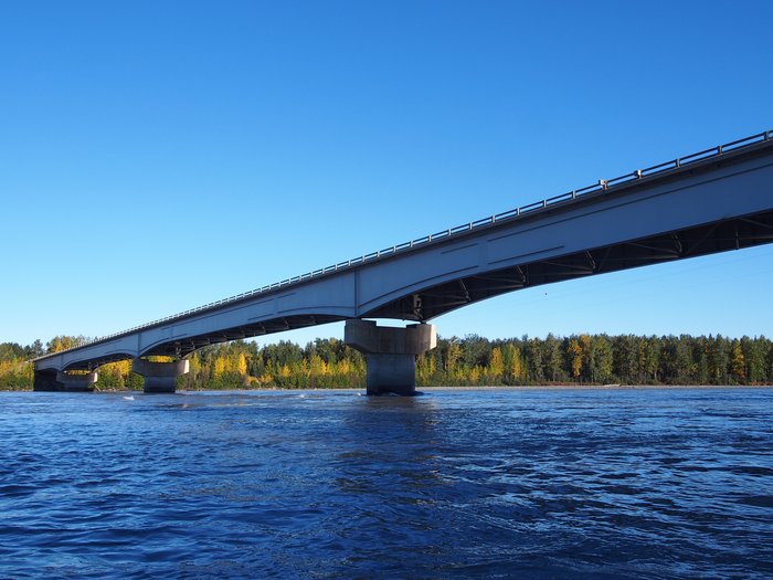 Parks Highway Bridge