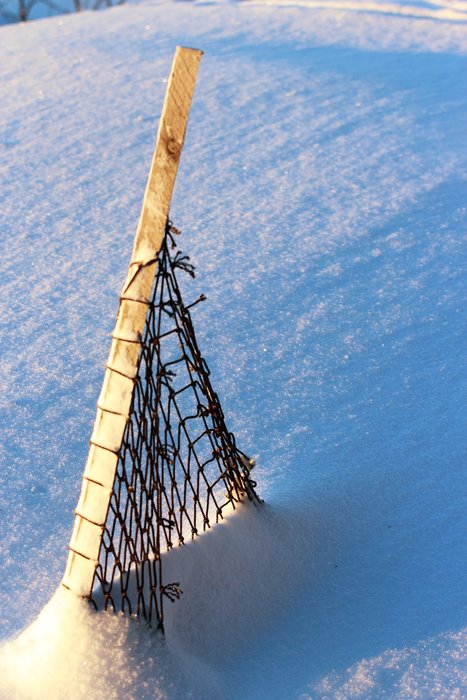 Some photos from Lituya's 1st birthday.