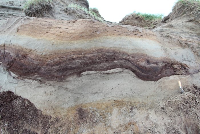 Layers of peat and sand record complex history along Lake Iliamna.