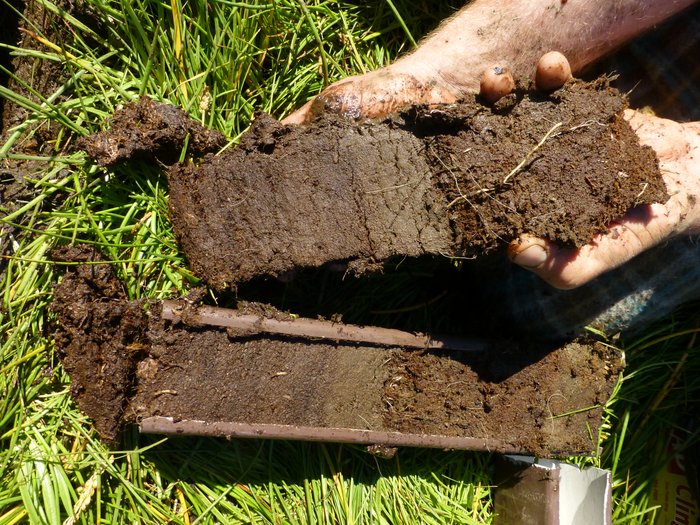 Sometimes called a "monolith" - a block of intact peat is collected from near the Seldovia Airport, cased in a square drain-pipe.  This sample is of interest because a 5 cm thick brown tephra is sandwiched right in the middle of it.
