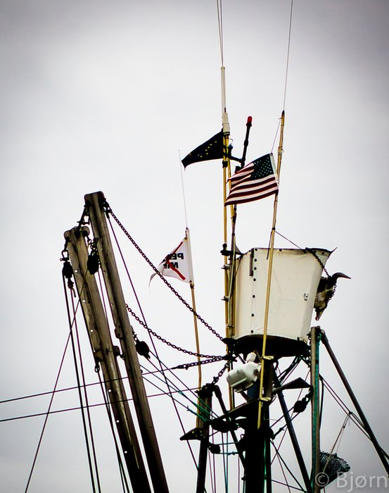 Fishermen advocate for no Pebble Mine